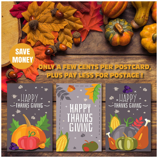 Thanksgiving Postcards - 6 Design Assortment