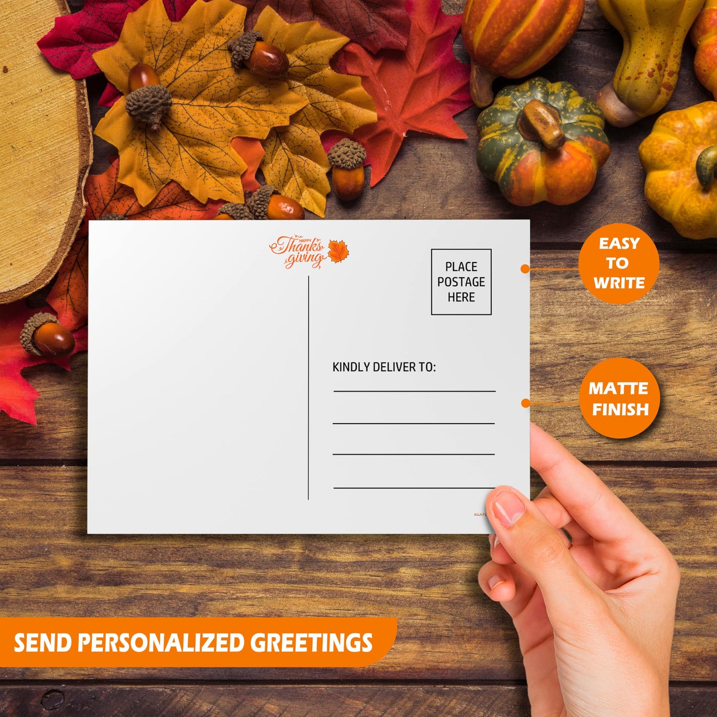 Thanksgiving Postcards 1 Design - (50 Pack) 4"X6"