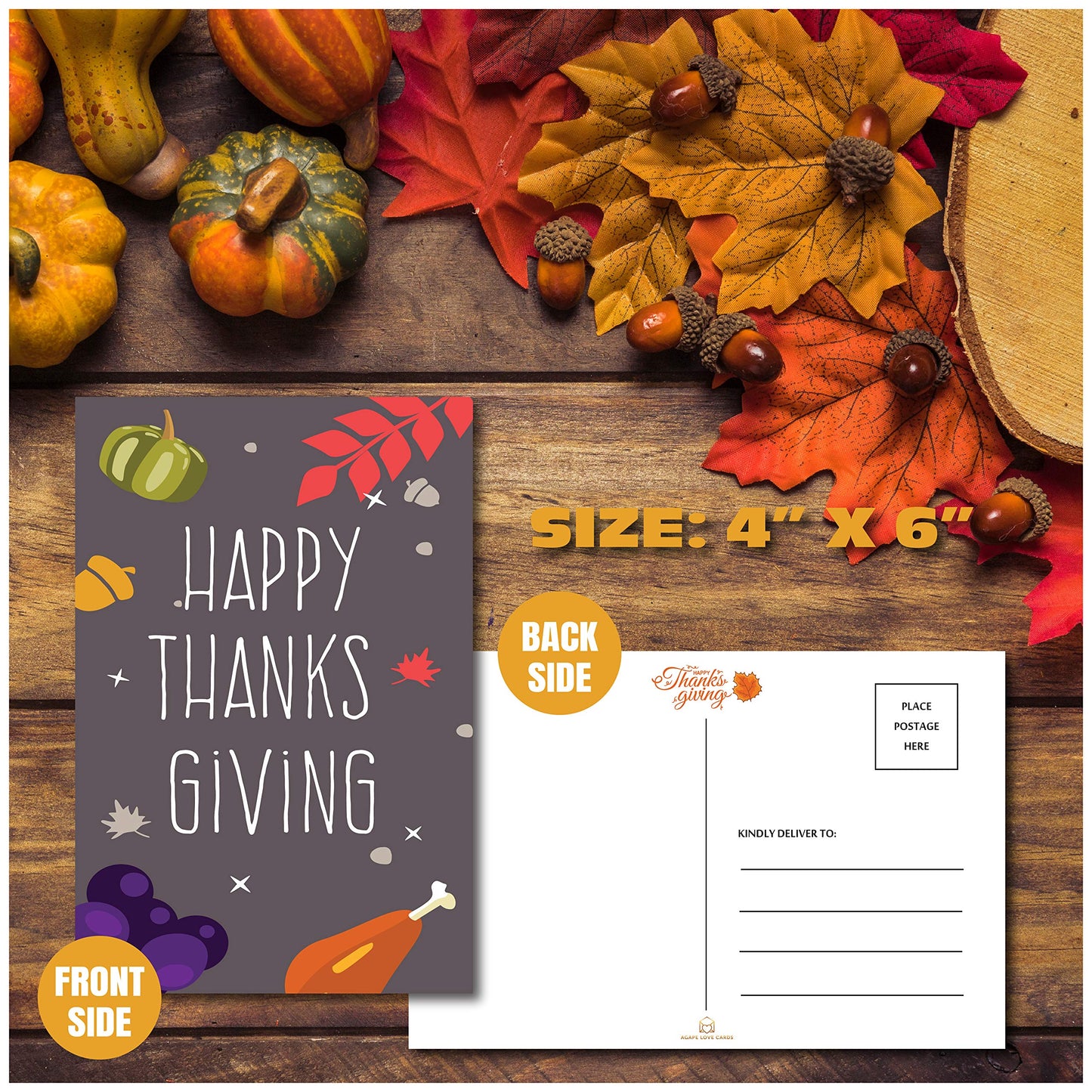 Thanksgiving Postcards - 6 Design Assortment